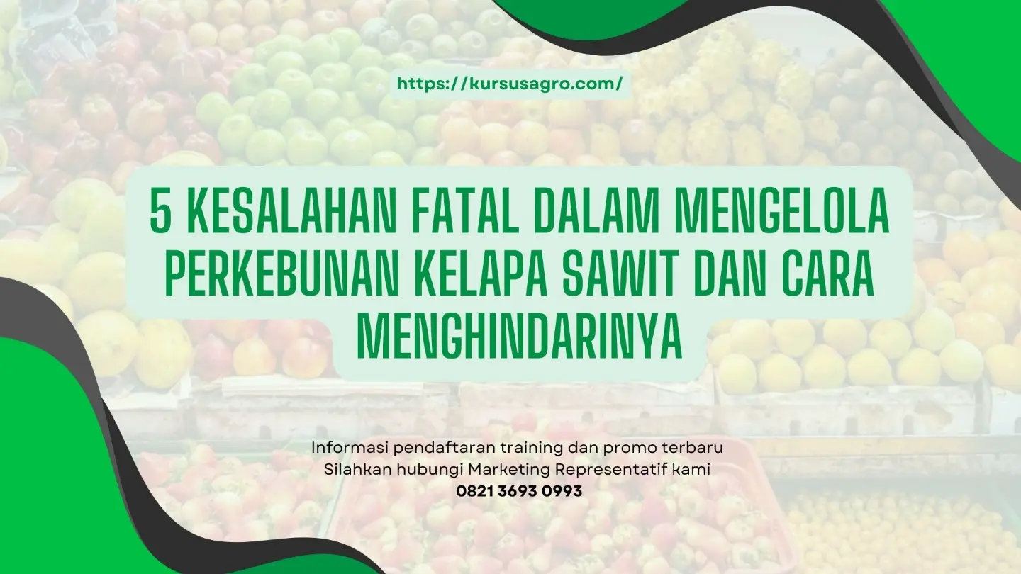 Solusi praktis menghindari kesalahan tersebut