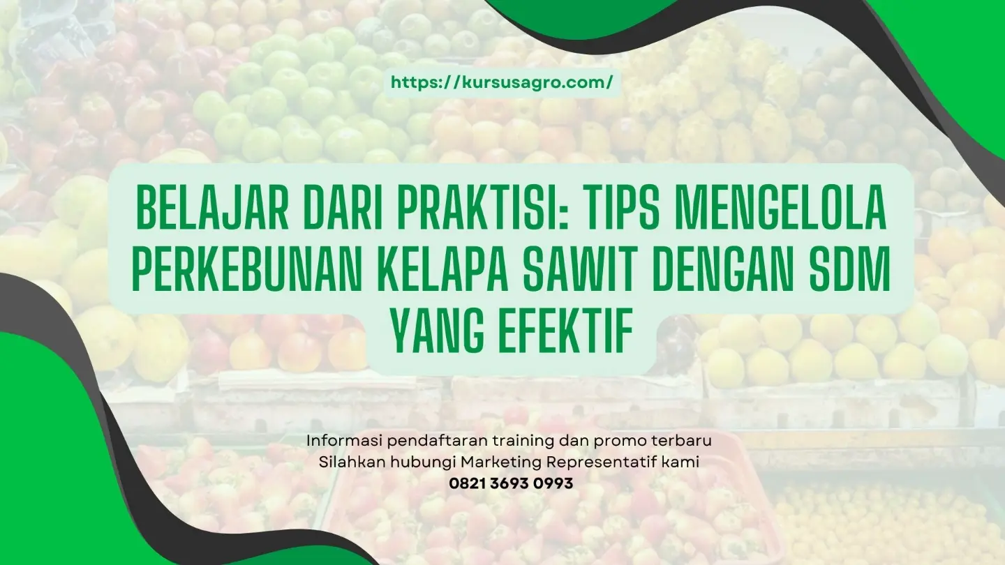 Pentingnya SDM dalam perkebunan