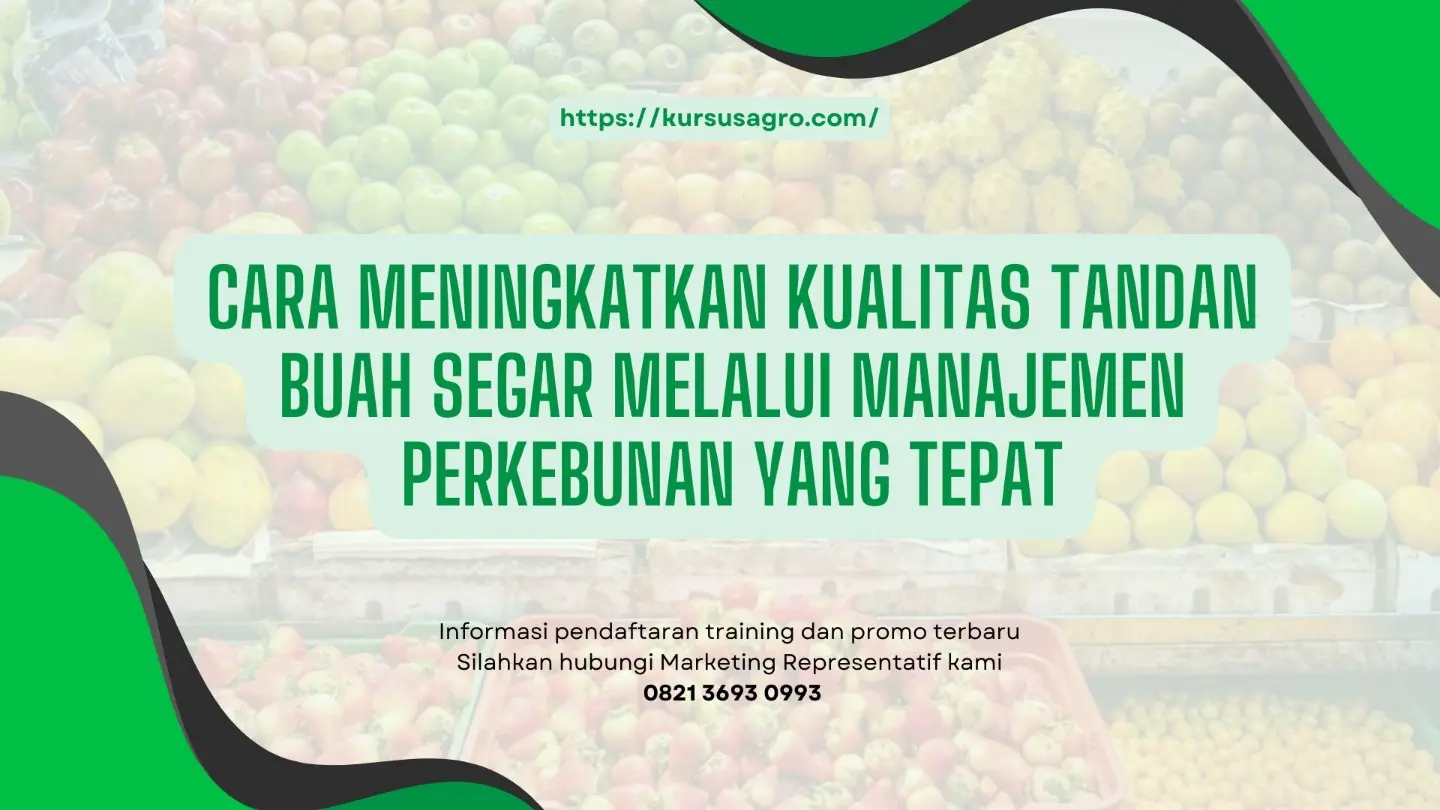Pengangkutan TBS yang cepat dan aman