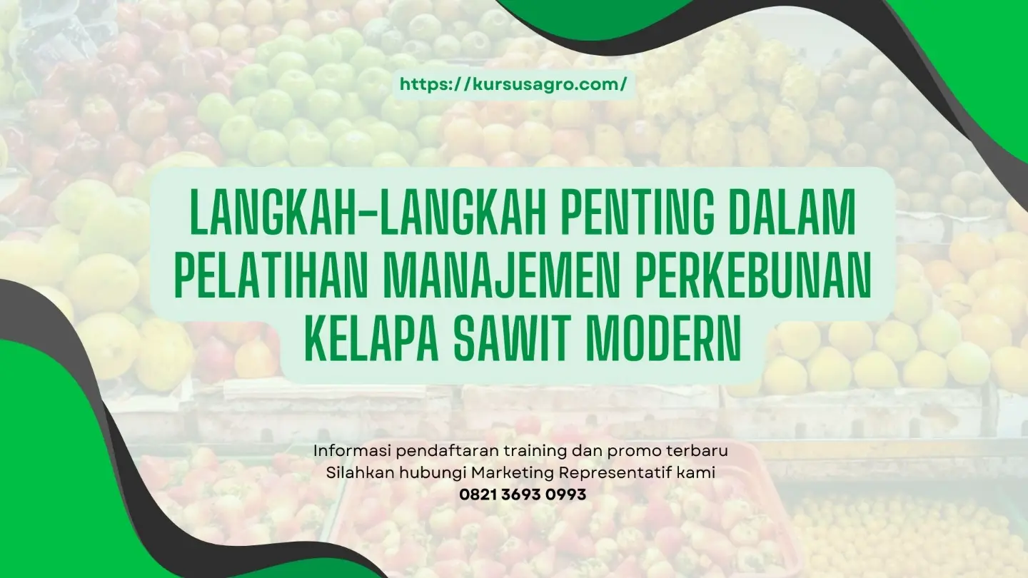 Langkah-Langkah Penting dalam Pelatihan Manajemen Perkebunan Kelapa Sawit Modern
