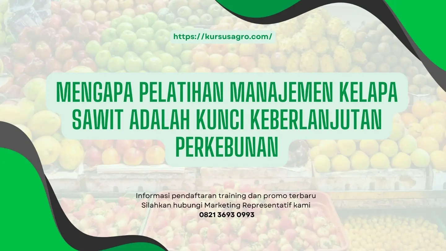Peningkatan produktivitas jangka panjang