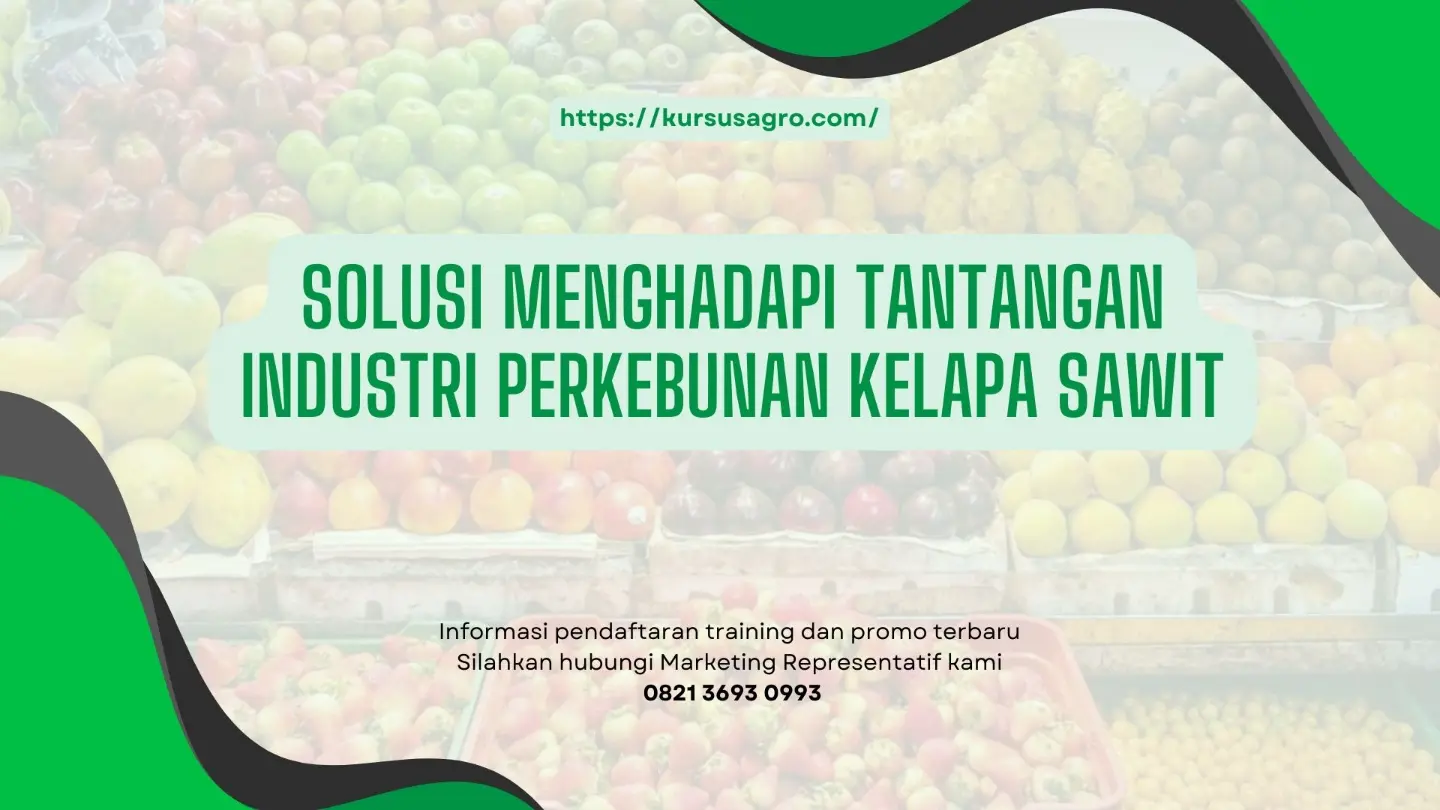 Dampak persaingan global