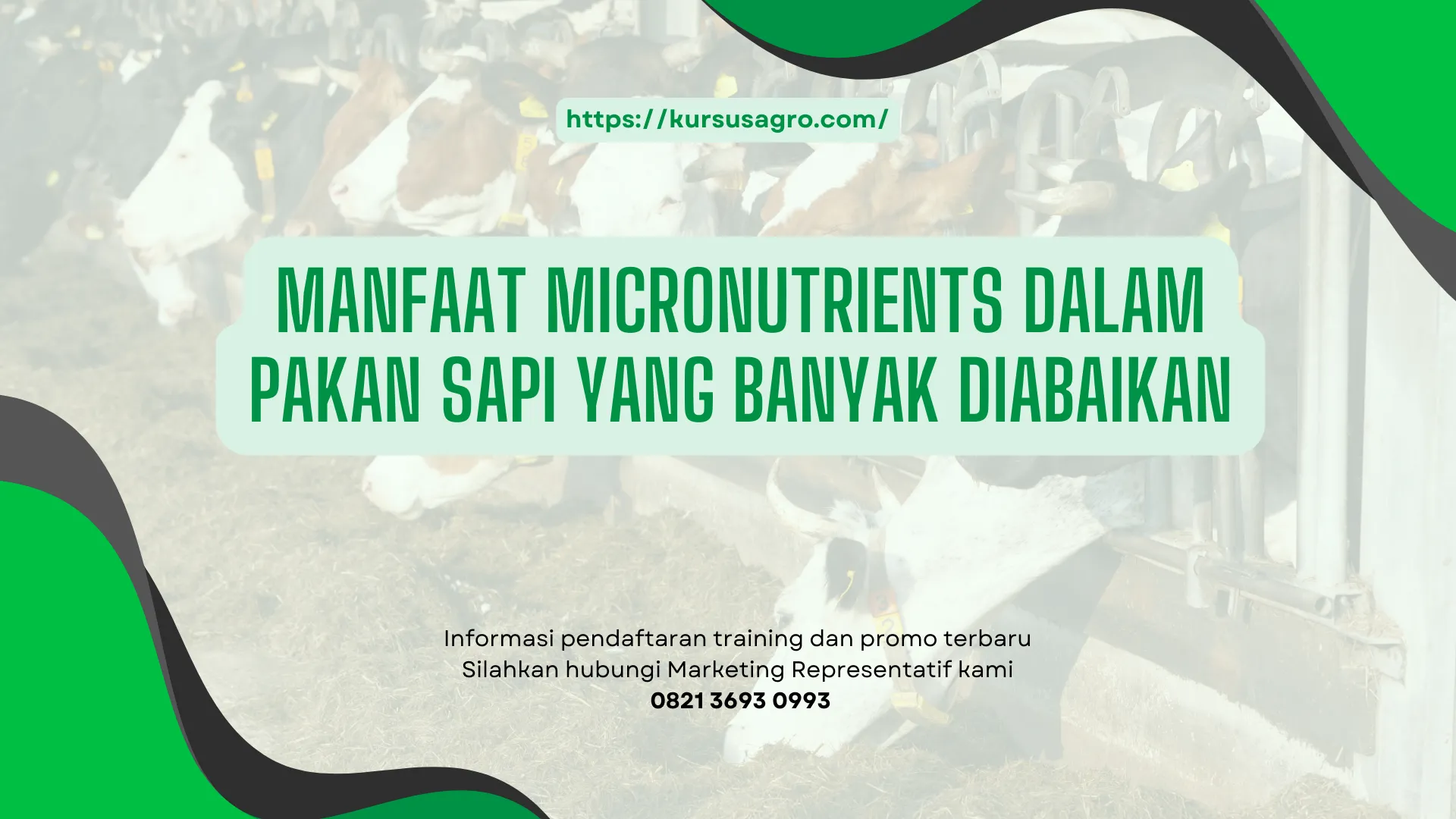 Jenis micronutrient penting