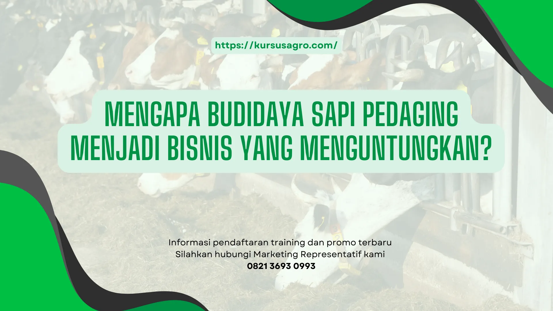 Efisiensi budidaya modern