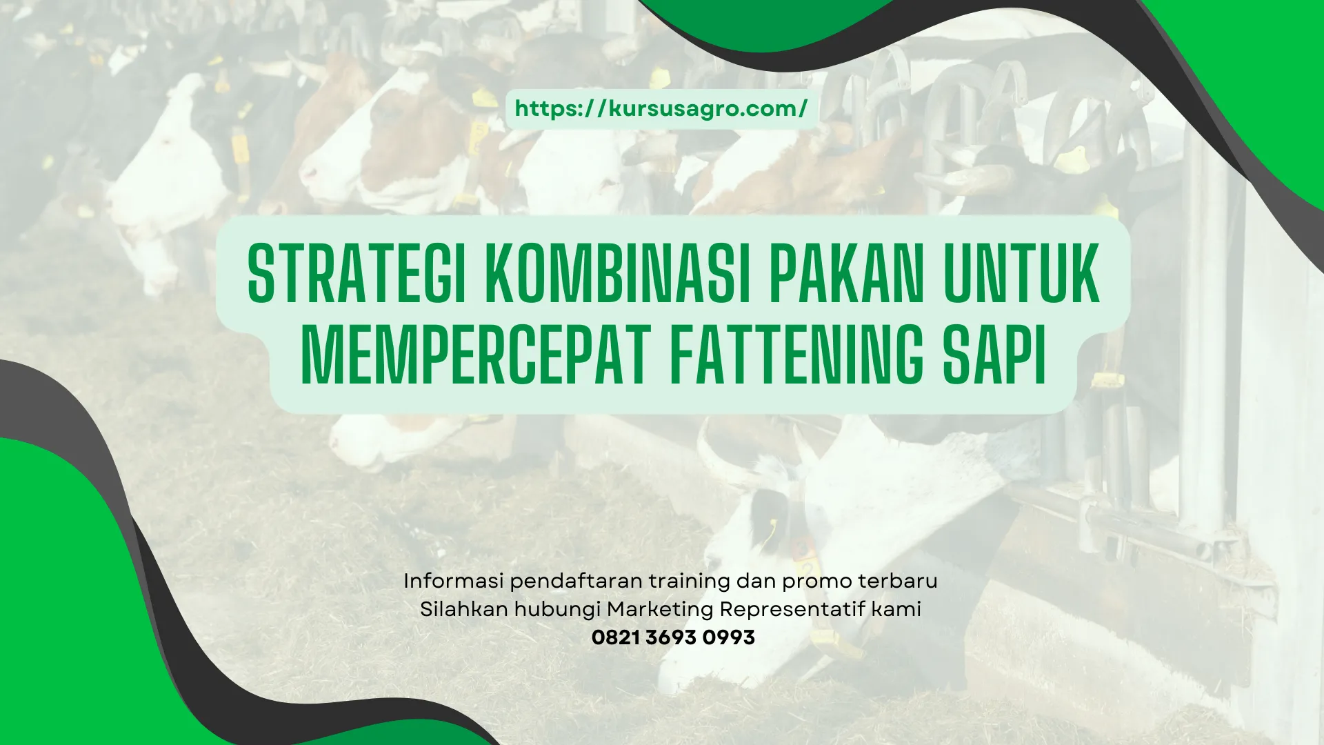 Teknik pemberian pakan