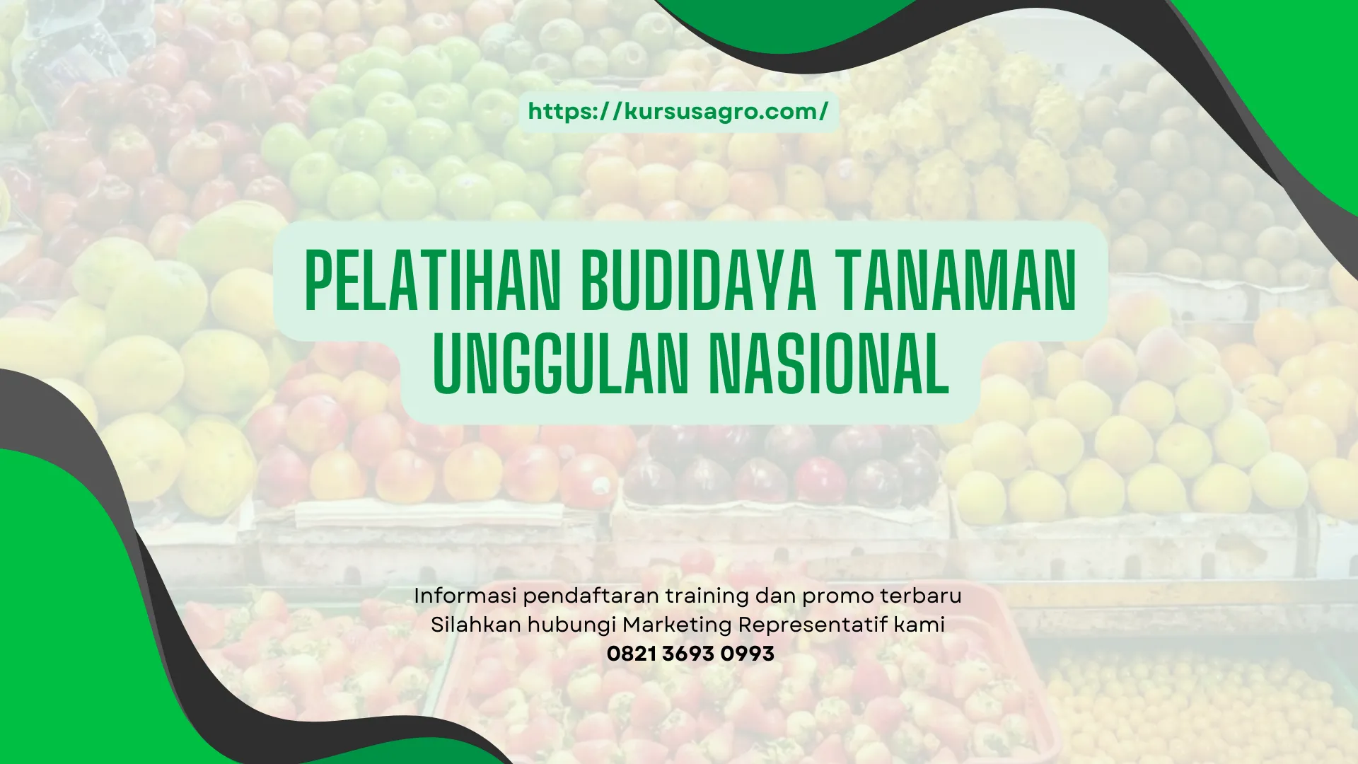 PELATIHAN PELATIHAN BUDIDAYA TANAMAN UNGGULAN NASIONAL JAKARTA