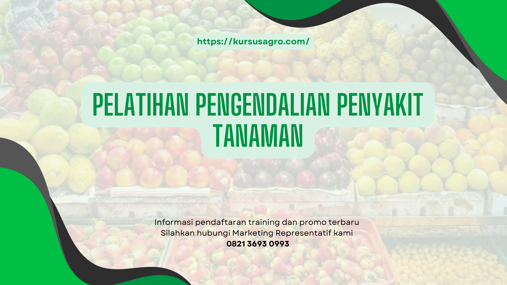 PELATIHAN PELATIHAN PENGENDALIAN PENYAKIT TANAMAN JAKARTA