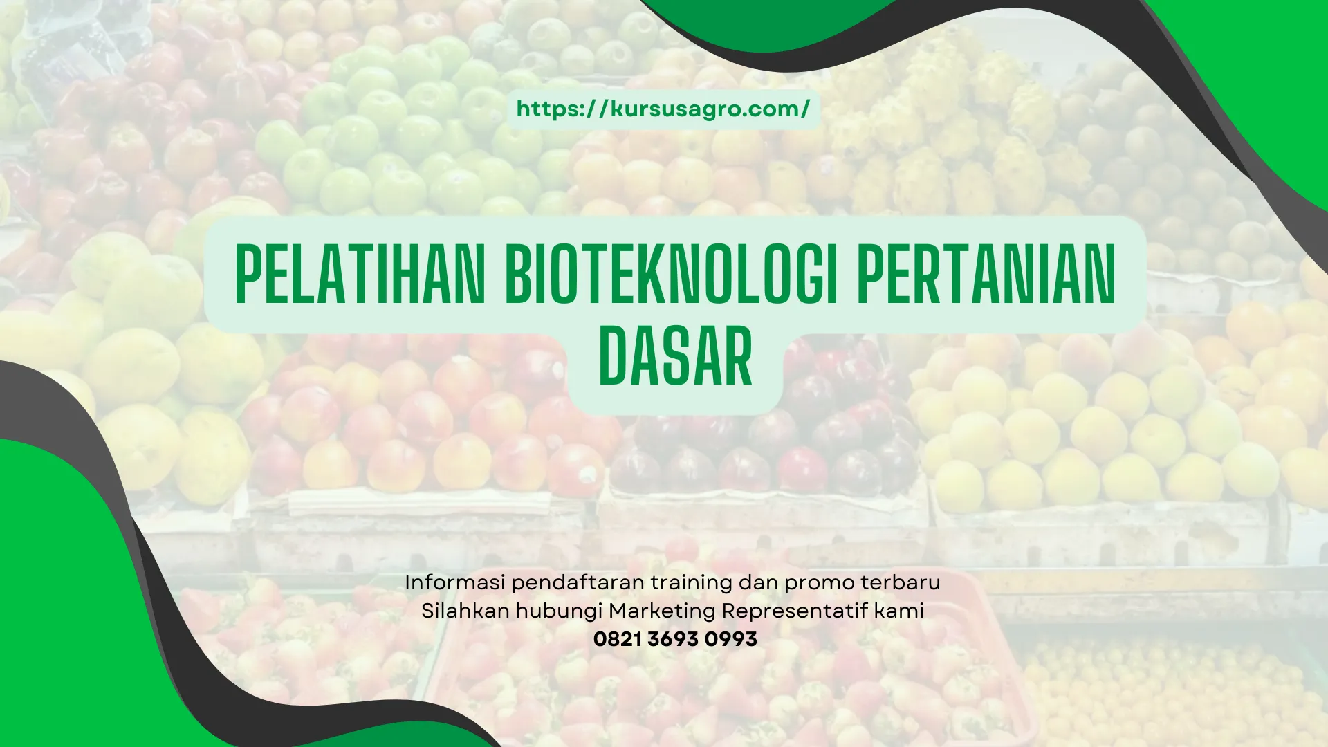 PELATIHAN PELATIHAN BIOTEKNOLOGI PERTANIAN DASAR JAKARTA