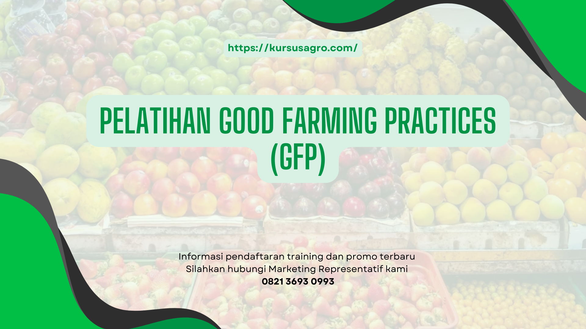PELATIHAN PELATIHAN GOOD FARMING PRACTICES (GFP) JAKARTA