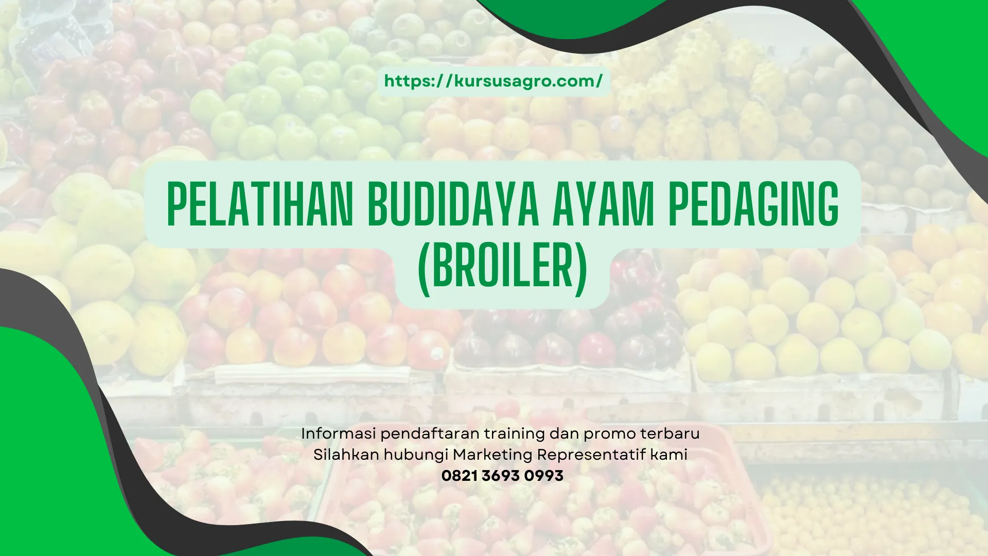 PELATIHAN PELATIHAN BUDIDAYA AYAM PEDAGING (BROILER) JAKARTA