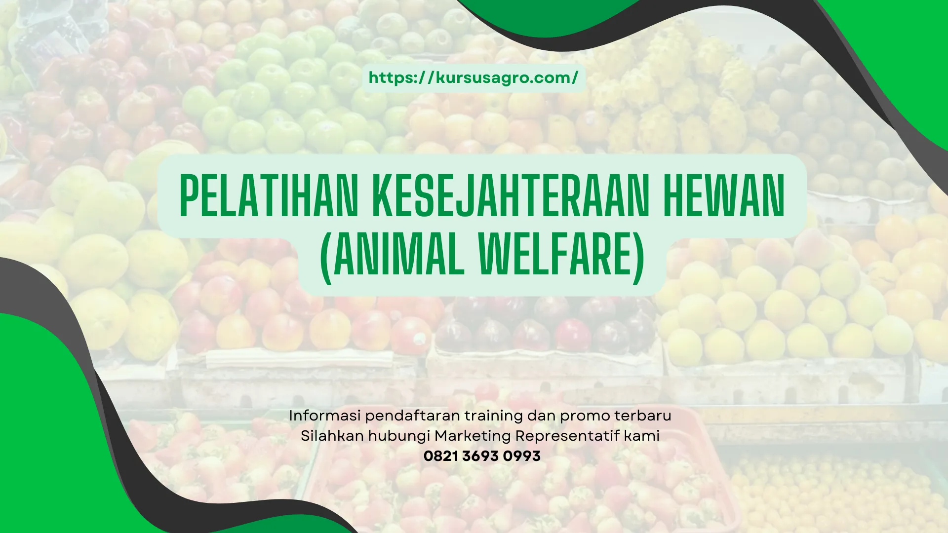 PELATIHAN PELATIHAN KESEJAHTERAAN HEWAN (ANIMAL WELFARE) JAKARTA