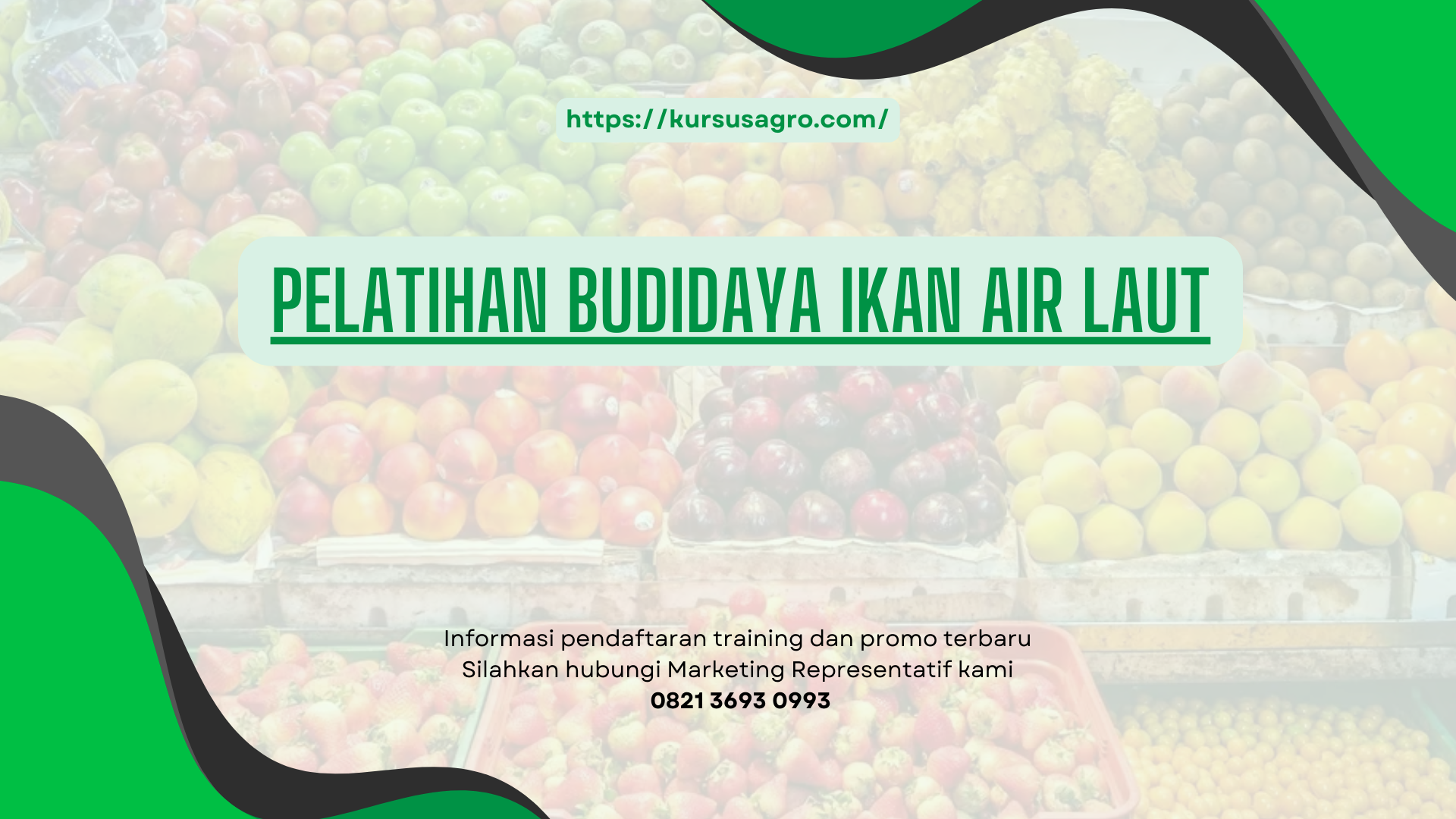 PELATIHAN PELATIHAN BUDIDAYA IKAN AIR LAUT JAKARTA