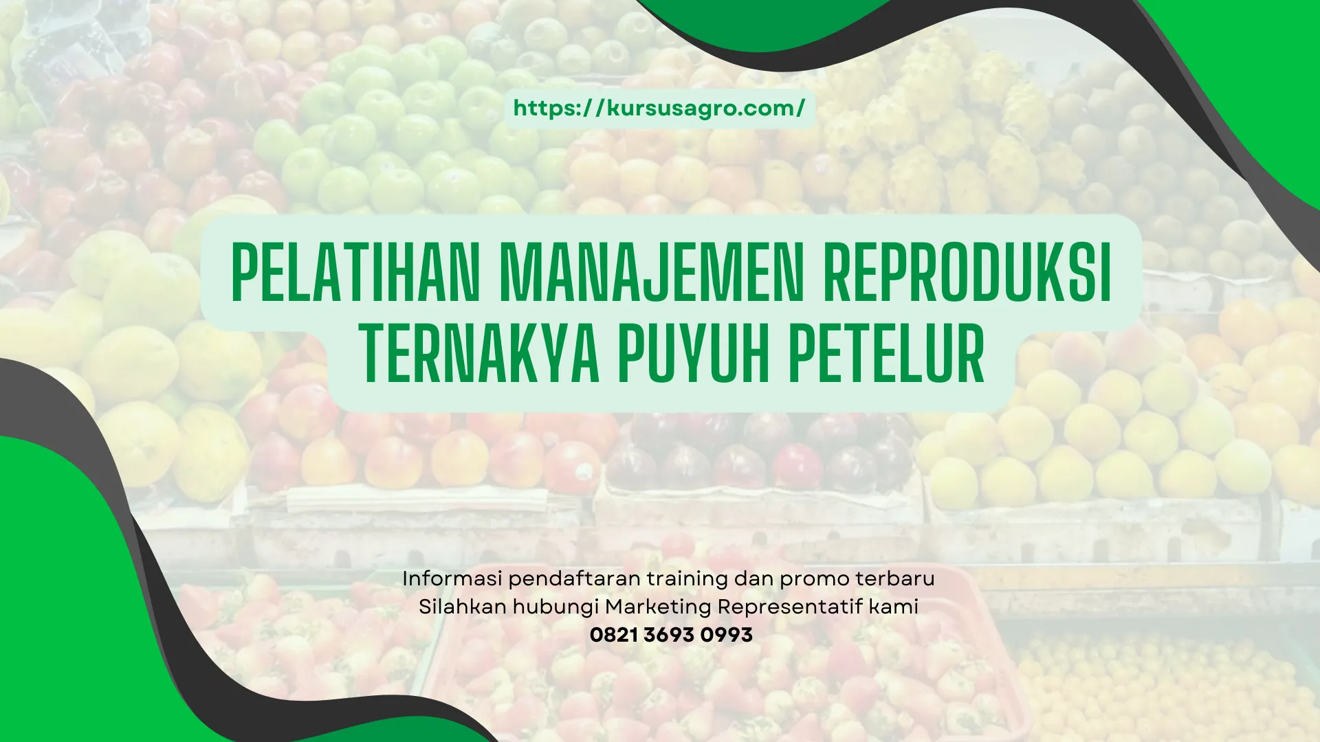 PELATIHAN PELATIHAN MANAJEMEN REPRODUKSI TERNAK JAKARTA
