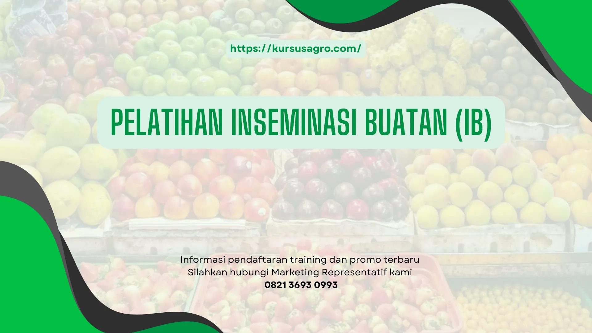 PELATIHAN PELATIHAN INSEMINASI BUATAN (IB) JAKARTA