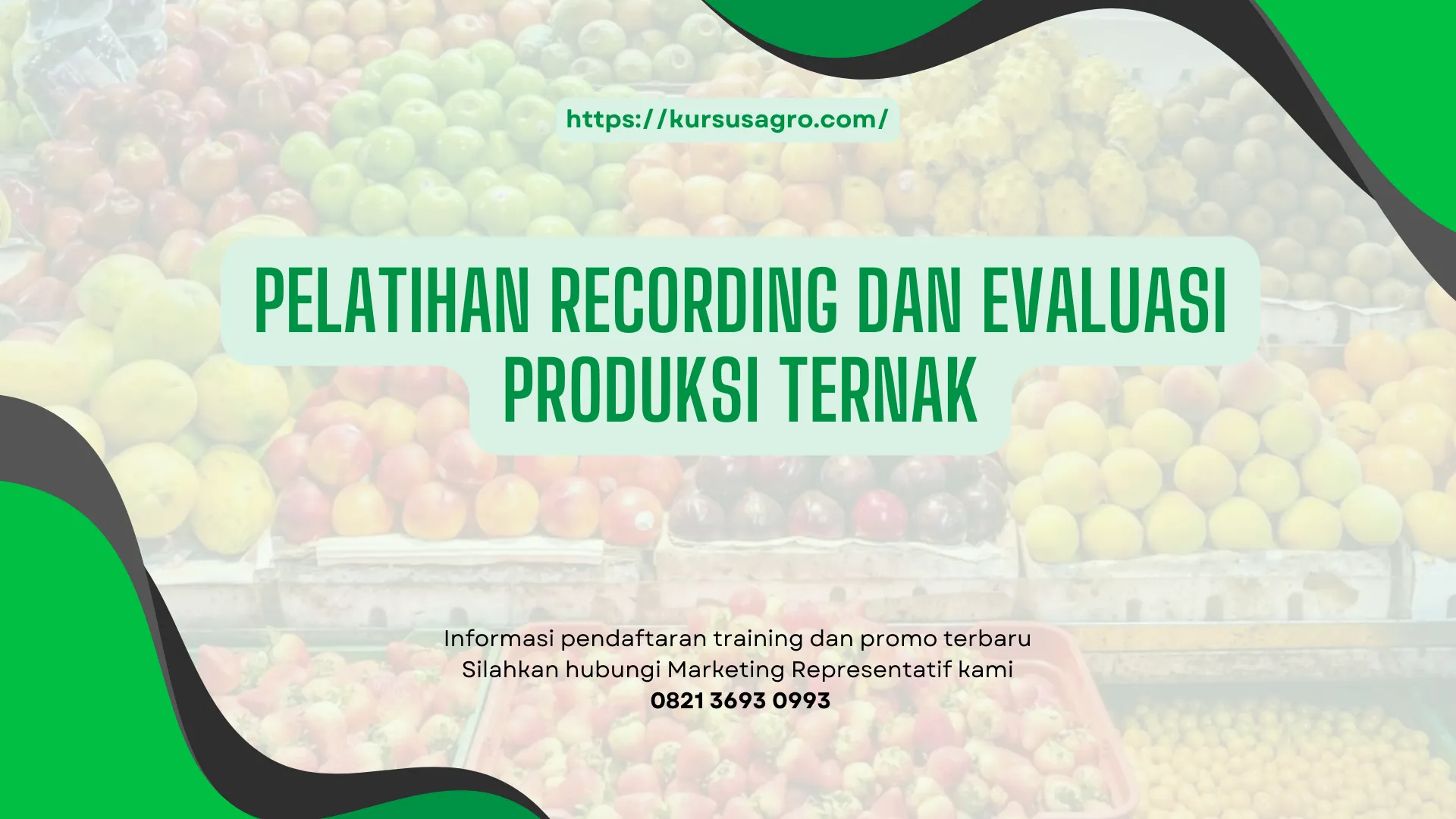 PELATIHAN PELATIHAN RECORDING DAN EVALUASI PRODUKSI TERNAK JAKARTA
