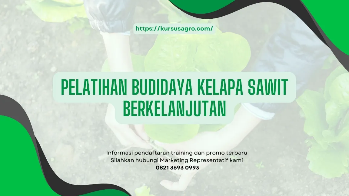 TRAINING BUDIDAYA KELAPA SAWIT JOGJA