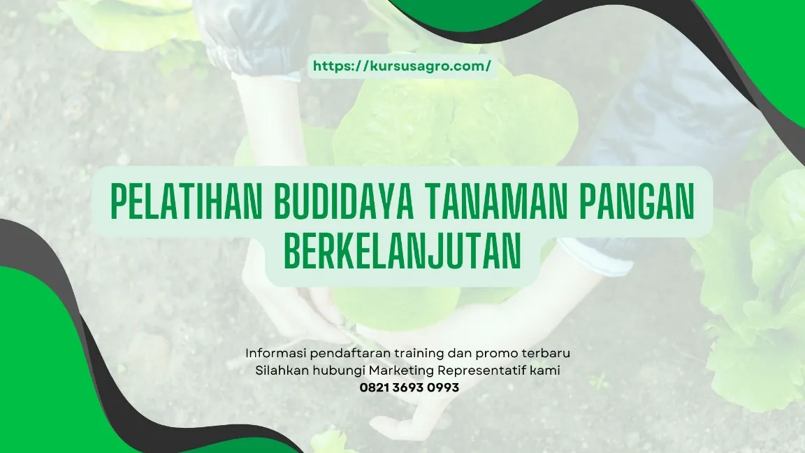 TRAINING BUDIDAYA TANAMAN PANGAN BERKELANJUTAN JOGJA