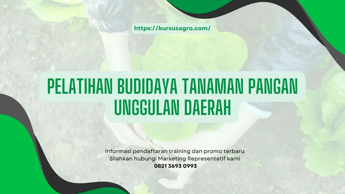 TRAINING BUDIDAYA TANAMAN PANGAN JOGJA