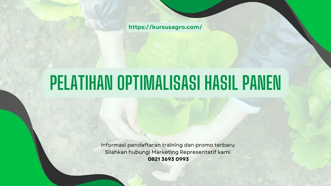 TRAINING OPTIMALISASI HASIL PANEN JOGJA