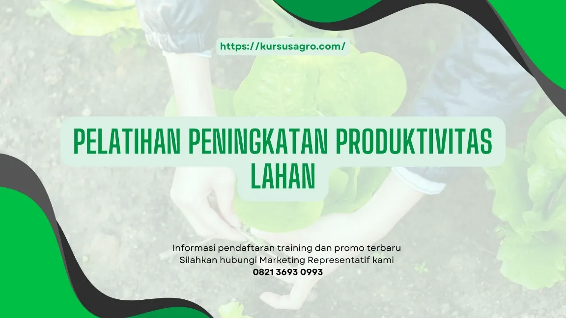 TRAINING PENINGKATAN PRODUKTIVITAS LAHAN JOGJA