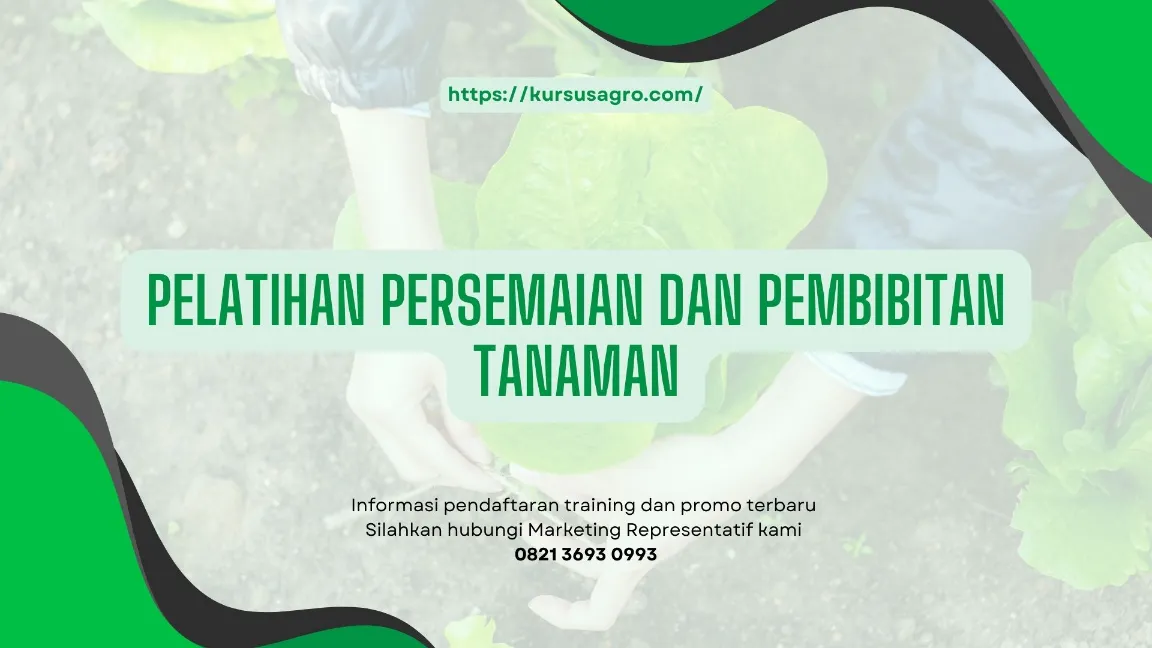 TRAINING PERSEMAIAN DAN PEMBIBITAN TANAMAN JOGJA