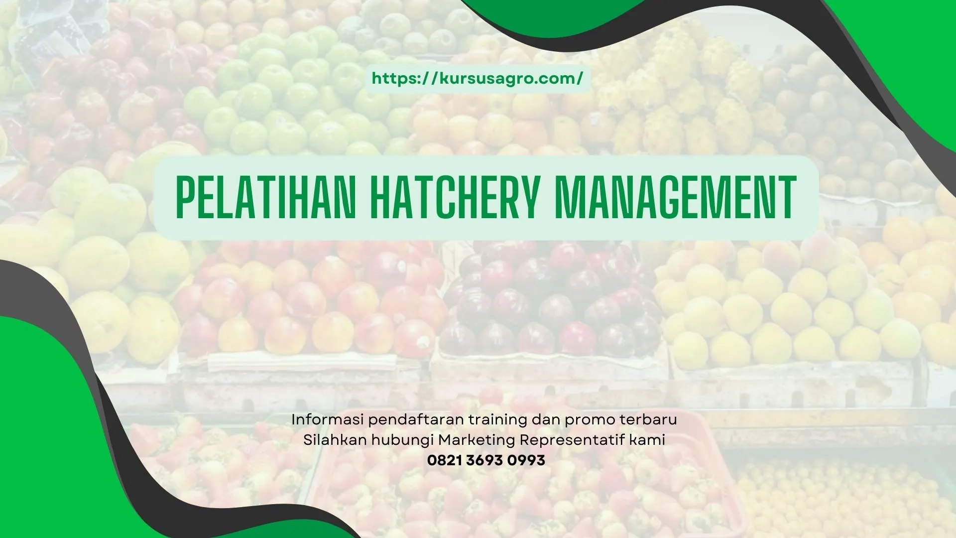 PELATIHAN PELATIHAN HATCHERY MANAGEMENT JAKARTA