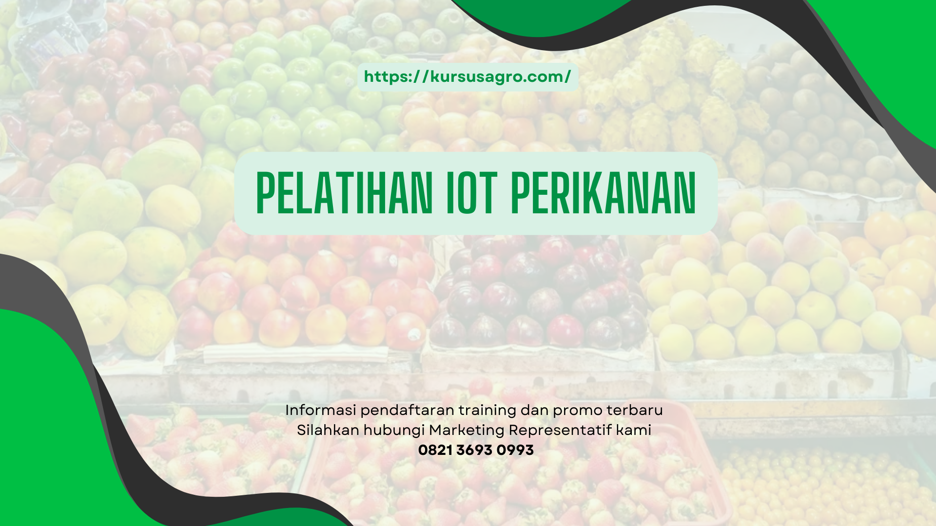 PELATIHAN PELATIHAN IOT PERIKANAN JAKARTA