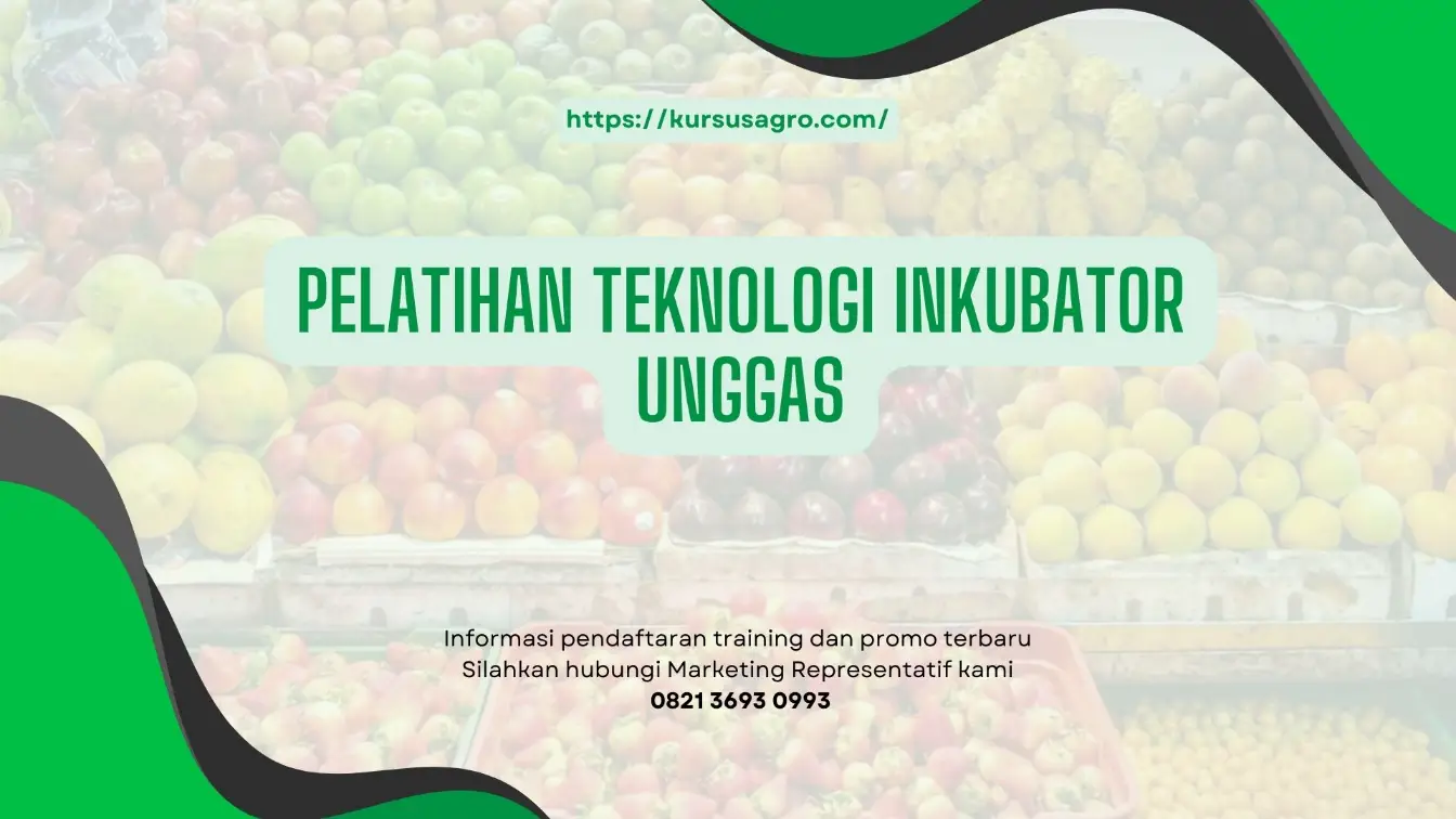 PELATIHAN PELATIHAN TEKNOLOGI INKUBATOR UNGGAS JAKARTA